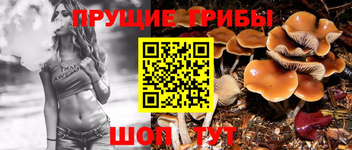 Галлюциногенные грибы Cubensis Черногорск
